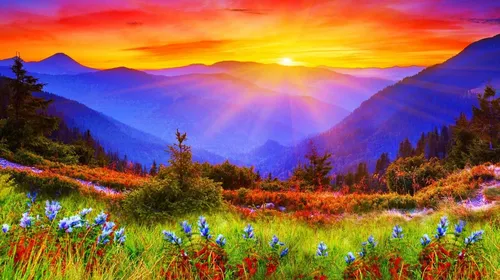 Красивые Фото поле цветов с горами на заднем плане