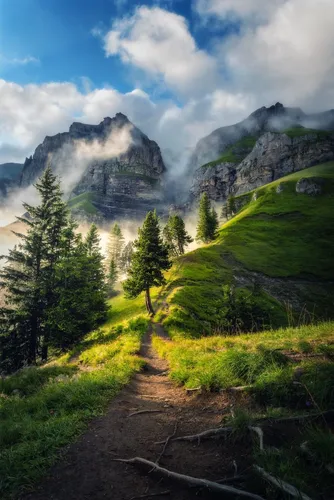 Красивые Фото грунтовая дорога в долине с деревьями и горами на заднем плане