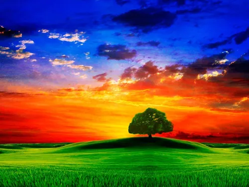 Красивые Фото дерево в поле