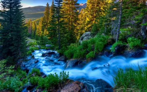 Красивые Фото река, протекающая через лес