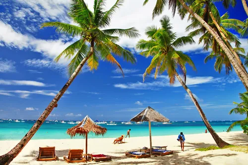 Моря Фото пляж с пальмами и зонтиками