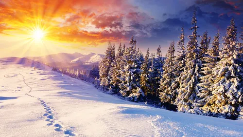 На Рабочий Стол Фото снежная гора с деревьями и солнцем на заднем плане