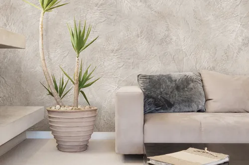Декоративная Штукатурка Фото диван с растением