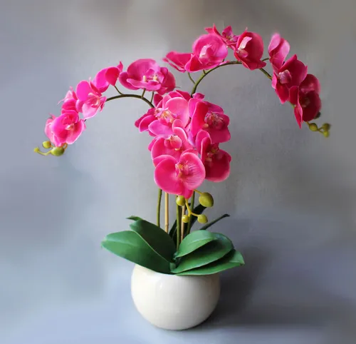 Оживить Фото ваза с розовыми цветами