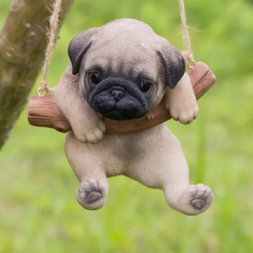 Мопс Фото собака с дерева