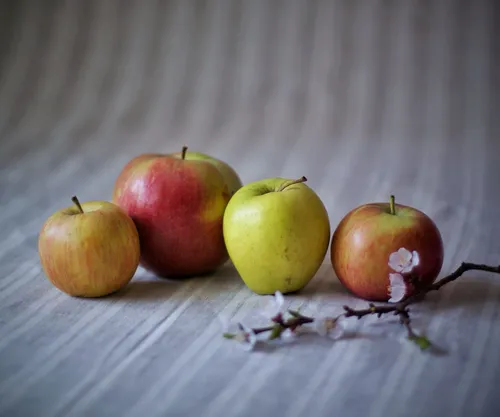 Натюрморт Фото группа яблок на столе