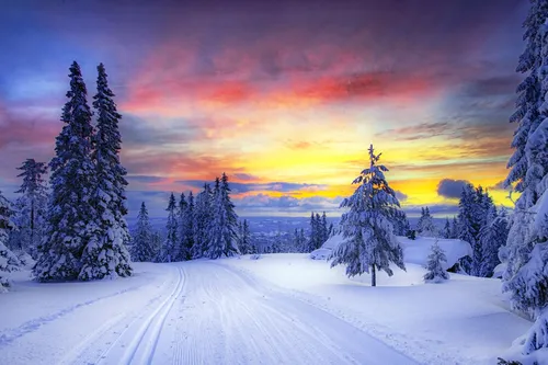 Зимы Фото арт