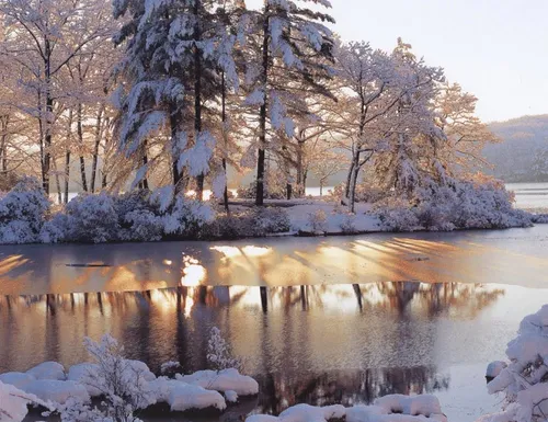 Зимы Фото озеро, окруженное заснеженными деревьями