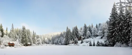 Зимы Фото снежный пейзаж с деревьями и домом