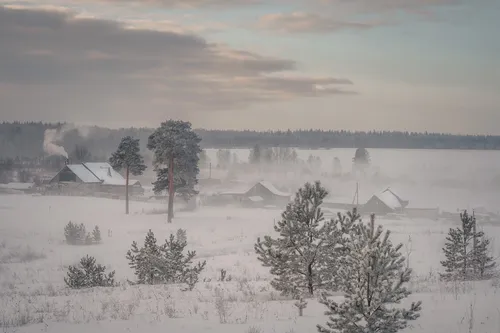 Зимы Фото снежный пейзаж с деревьями и домами