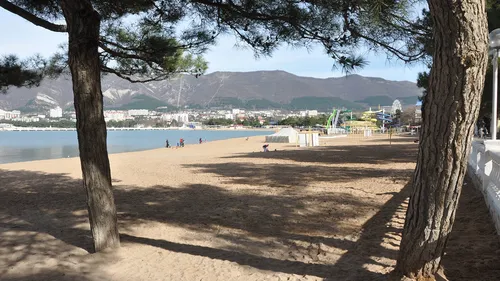 Геленджик Фото песчаный пляж с деревьями и водой