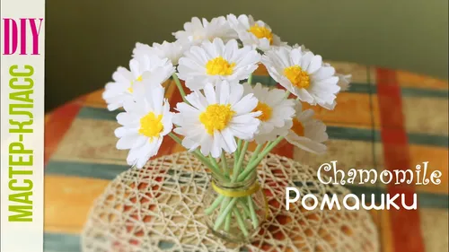 Ромашки Фото ваза с белыми цветами
