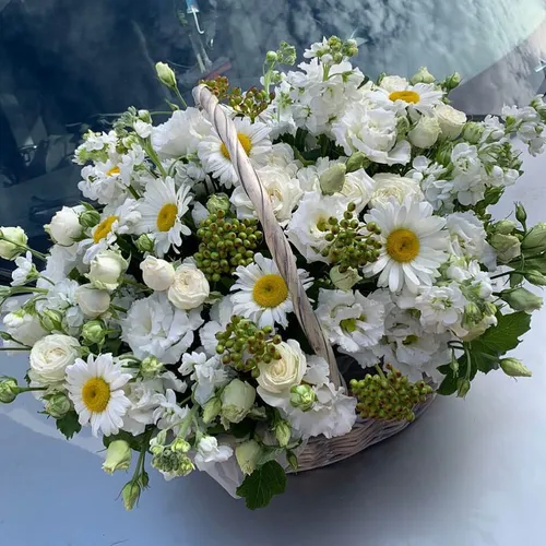 Ромашки Фото корзина белых цветов