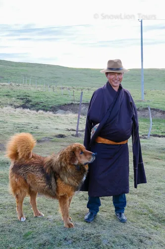 Ма Гоцян, Тибетский Мастиф Фото мужчина в шляпе и пальто с собакой на поводке