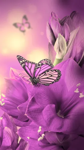 Бесплатно Обои на телефон группа бабочек на фиолетовом цветке
