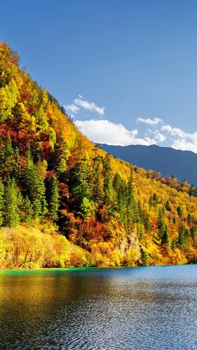 Осень Няшный Обои на телефон водоем с деревьями сбоку