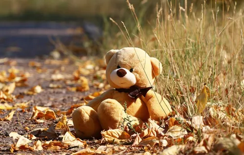 Осень Няшный Обои на телефон плюшевый мишка лежит в траве