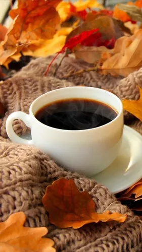 Осень Няшный Обои на телефон чашка кофе на куче листьев