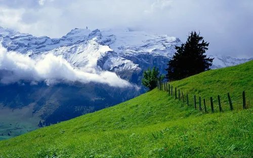 Горы Обои на телефон забор на травянистом холме с горами на заднем плане