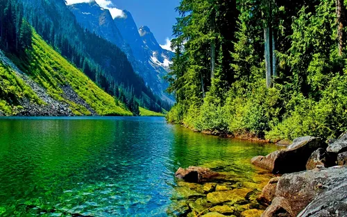 Горы Обои на телефон водоем, окруженный деревьями и горами