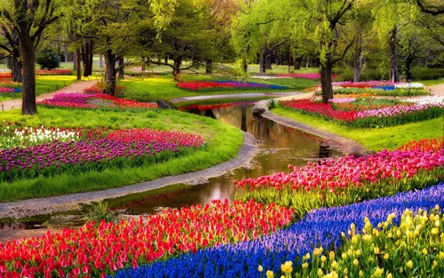 Весна Тюльпаны Обои на телефон сад с разноцветными цветами на фоне Кёкенхофа