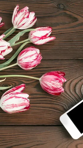 Весна Тюльпаны Обои на телефон фоновый узор