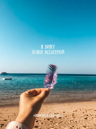 Для Привлечения Денег Обои на телефон рука, держащая фиолетовый цветок на пляже