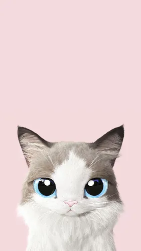 Кот Обои на телефон кот с голубыми глазами