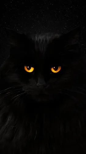 Кот Обои на телефон черная кошка с желтыми глазами
