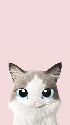 Коты Обои на телефон кот с голубыми глазами