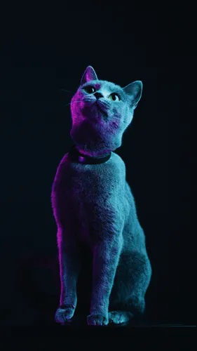 Коты Обои на телефон кошка в фиолетовом костюме