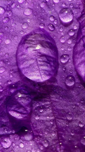 Лавандового Цвета Обои на телефон фиолетовая скала с каплями воды