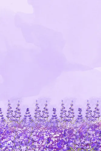 Лавандового Цвета Обои на телефон поле фиолетовых цветов