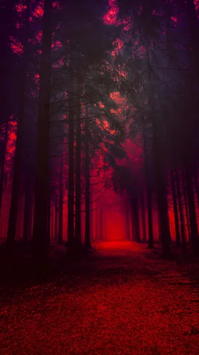 Черно Красные Обои на телефон лес деревьев с красными огнями