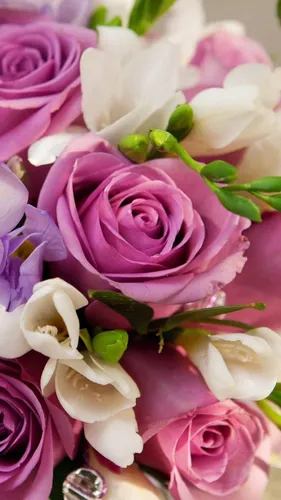 Заставки Цветы Обои на телефон букет из розовых и белых цветов