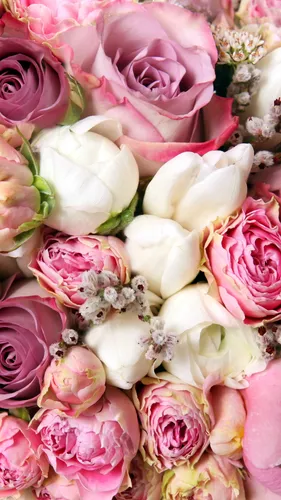 Заставки Цветы Обои на телефон группа розовых и белых цветов