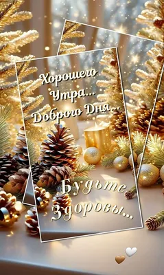 Как будут работать торговые центры Волгограда 31 декабря и 1 января - KP.RU