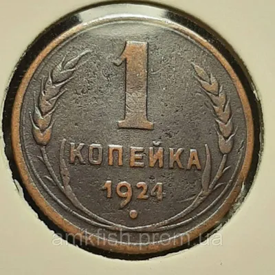 Монета СССР 1 копейка, 1924 года, Ребристый гурт (ID#772499748), цена: 89  ₴, купить на Prom.ua