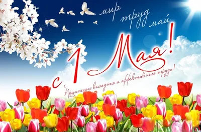 1 мая — Праздник весны и труда — МАДОУ д/с №121 города Тюмени