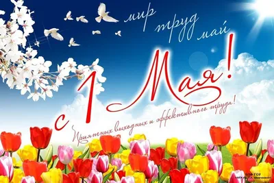 Примите самые теплые поздравления с 1 Мая – Днём Весны и Труда! |  Ассоциация \"Совет муниципальных образований Тульской области\"