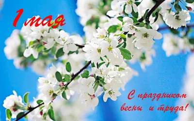 1 мая – Праздник весны и труда | Городская Дума муниципального образования  \"Городской округ город Астрахань\"