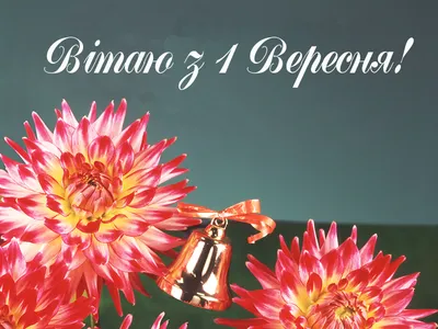 Набор из шаров 1 Вересня (ID#1887756432), цена: 325 ₴, купить на Prom.ua