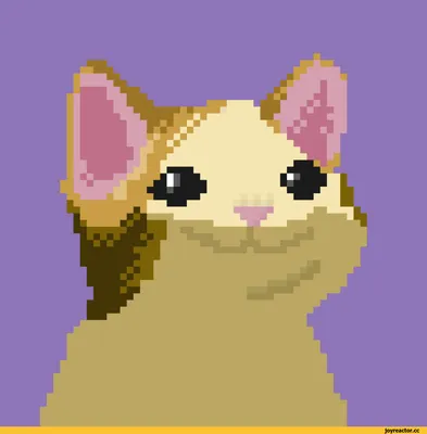 pixel meme cat / смешные картинки и другие приколы: комиксы, гиф анимация,  видео, лучший интеллектуальный юмор.