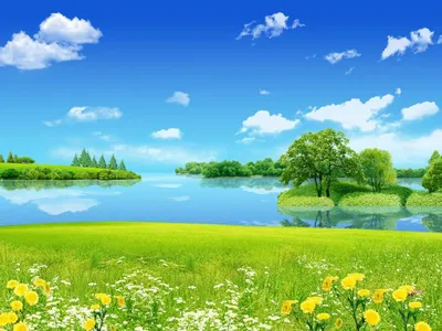 Летний пейзаж озеро и трава, на рабочий стол обои для рабочего стола,  картинки, фото, 1024x768.