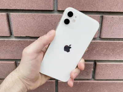 iPhone 11: a first look at Apple's new default iPhone - The Verge