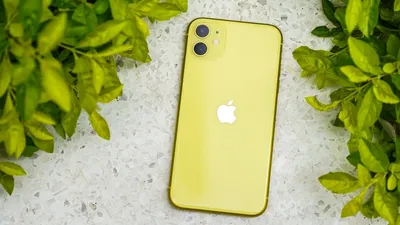 iPhone 11 Camera Review: Our Favorite Features | Teen Vogue