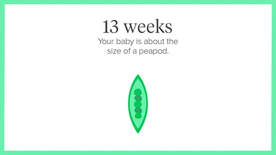 13 Weeks Pregnant: Symptoms, Tips, and More