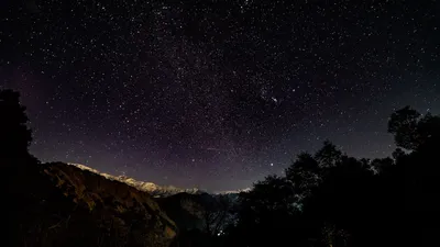 Скачать 1920x1080 звездное небо, звезды, блеск, ночь, деревья, звездная  ночь обои, картинки full hd, hdtv, fhd, 1080p