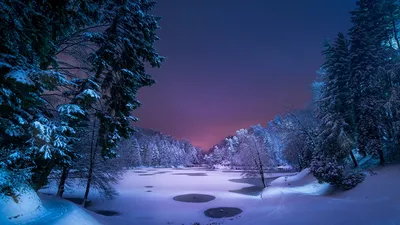 Picture Winter Nature Lake Snow Forests Night 1366x768
