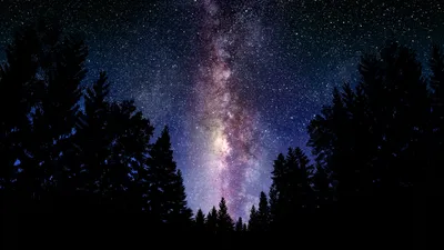 Картинка на рабочий стол лес, ночь, небо, пейзажи, фото, космос, обои,  звёзды, млечный путь 1366 x 768